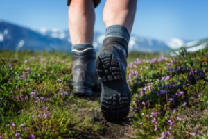 Deciding on the Right Hiking Shoes